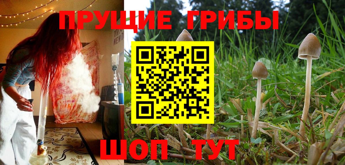 Галлюциногенные грибы мухоморы Тосно