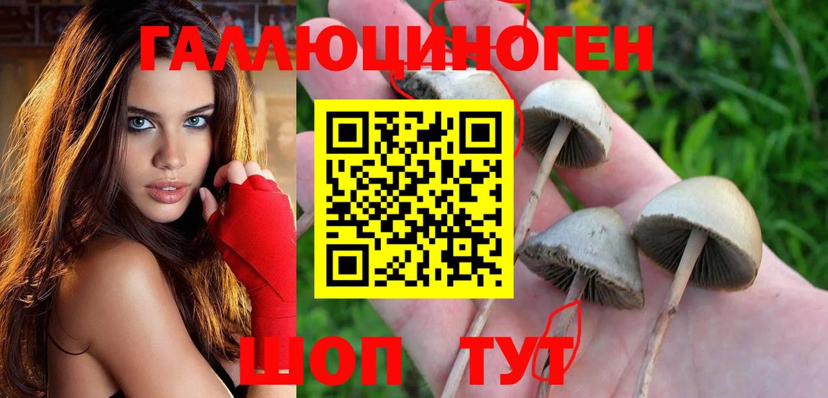 Тосно  Галлюциногенные грибы Magic Shrooms  Вход с VPN 